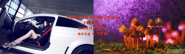 таблы Богданович
