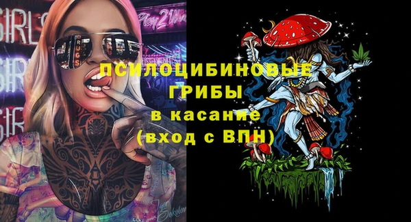 МДПВ Богородицк