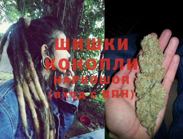 МДПВ Богородицк