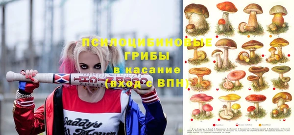 таблы Богданович