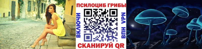 Галлюциногенные грибы Magic Shrooms наркошоп ОМГ ОМГ как зайти Вытегра